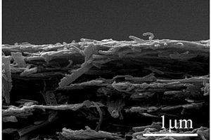 锂离子电容器用纳米针状柔性钛酸锂/碳纳米管/石墨烯复合材料及其制备方法