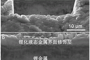 锂金属负极及其制备方法和锂金属、锂硫、锂空气电池