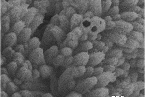 三维管状结构二氧化锰负载硫的复合材料及制备方法、锂硫电池正极及锂硫电池