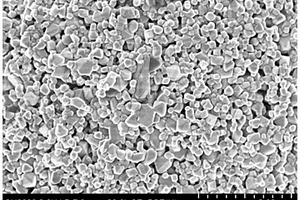 制备掺杂型钛酸锂的方法、掺杂型钛酸锂及具有其的锂离子电池负极材料