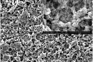 原位明胶-聚乙烯醇交联碳化制备锂离子电池多孔硅负极的方法