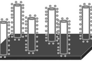锂离子电池负极的制备方法及其在锂离子电池中的应用