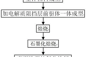 用于脱嵌富锂电解质中锂的阴极碳材料及其制备方法