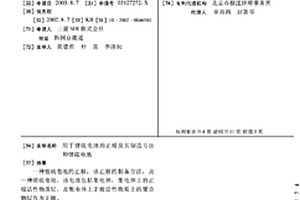 用于锂硫电池的正极及其制造方法和锂硫电池