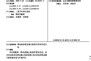 锂电池的锂金属正极保护层的形成方法