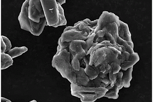 松果结构石墨负极材料及其制备方法