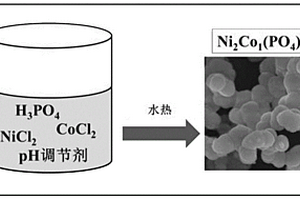制备磷酸钴镍微球材料的方法
