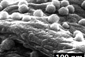 石墨烯/Mg纳米颗粒复合材料及其制备方法