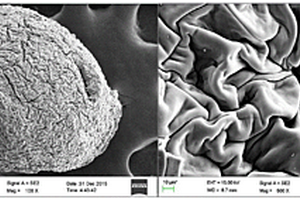 羧甲基纤维素/纳米普鲁士蓝复合凝胶微球吸附材料的制备方法