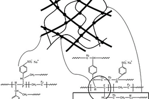 PVDF基阳离子交换膜的制备方法