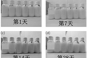 水性高分子功能浆料及其制备方法和应用