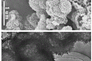 纳米结构锐钛矿二氧化钛及其制备方法和应用