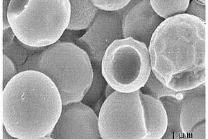 含氮的石墨化空心碳微球的制备方法