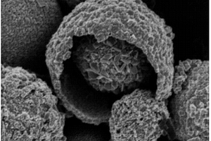 二氧化钼核壳微球的制备方法