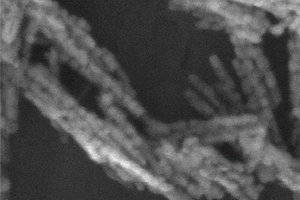 纳米珠链状四氧化三钴及其制备方法