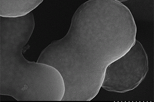 胶囊结构ZnO/C纳米复合微球材料的制备方法
