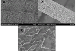 二硫化锡复合柔性碳布电极材料及其制备方法