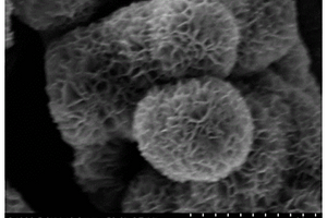 石墨烯-二氧化锰花球状负极材料、其制备方法及用途