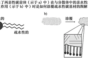 来自包括两亲性有机化合物的分散体的碳质颗粒的无定形碳涂层