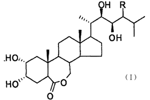 油菜素内酯及其类似物的绿色合成方法