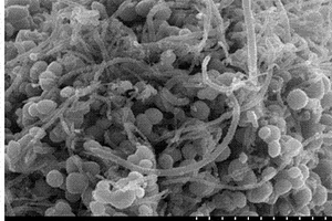 铁氧化物-碳纳米管三元复合材料及其制备方法