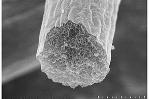 载硫多孔二氧化钛/碳纳米复合纤维及其制备和应用