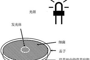 用于产生具有抗微生物性能的涂层的组合物