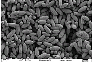 多孔胶囊状Fe<Sub>2</Sub>O<Sub>3</Sub>纳米材料及其制备方法和应用