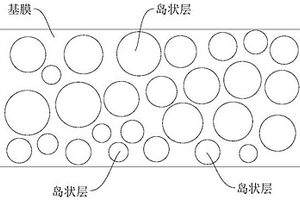 功能隔膜及其制备方法