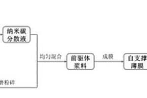 基于纳米碳材料自支撑电极片的制备方法