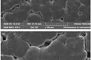 多孔氮化硼纳米纤维增强的聚环氧乙烷基固态电解质及其制备方法
