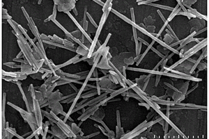 碳包覆的管状纳米硅材料及其制备方法和应用
