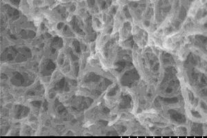 碳纳米管冷冻干燥体/金属氧化物复合物