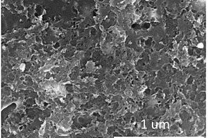 以生物质为碳源凝胶法制备氮掺杂多孔纳米碳材料的方法