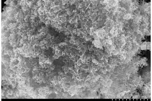 氮掺杂多孔石墨烯及其制备方法