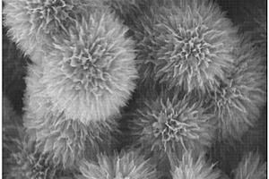 蒲公英状磷酸铁微米球及其电化学阳极氧化制备方法