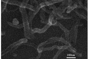 硼掺杂石墨烯纳米带及其制备方法