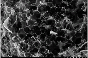 多级孔结构三维碳纳米网超电容电极材料的模板制备方法
