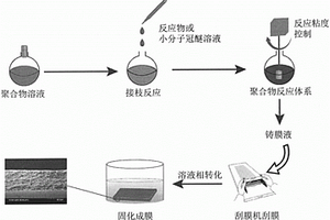 反应-控制溶液相转化法制备功能高分子微孔膜的方法