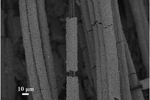 碳纤维@二硒化钼纳米片核壳复合结构及其制备方法