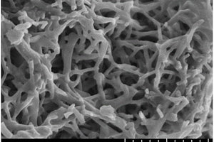 酰胺类聚合物衍生一维氮掺杂纳米碳电极材料及制备方法