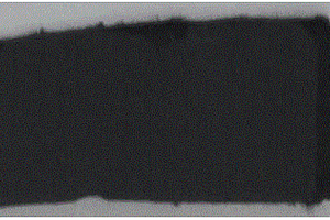 高度石墨化的碳纳米管超薄导热导电薄膜的制备方法