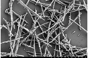 β-MnO<Sub>2</Sub>@Co<Sub>3</Sub>O<Sub>4</Sub>复合材料及其制备方法和应用