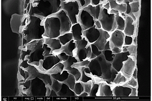 孔径可调的结晶型聚芳醚酮多孔膜、制备方法及其应用