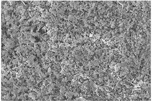 氮氟掺杂硅碳复合负极材料及其制备方法