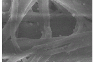 原位生长纳米颗粒改性聚合物隔膜制备方法