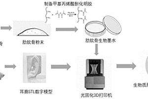 基于肋软骨的3D打印生物墨水及其制备方法与应用