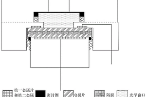 电化学原位在线检测装置及其使用方法