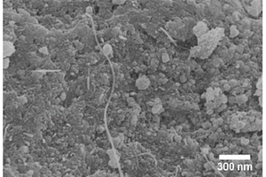 氧化锰/碳/碳纳米管纳米杂化材料及其制备方法和应用
