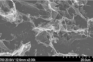 高比表面积石墨烯的制备方法